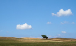 Landschaft Gager_klein.jpg